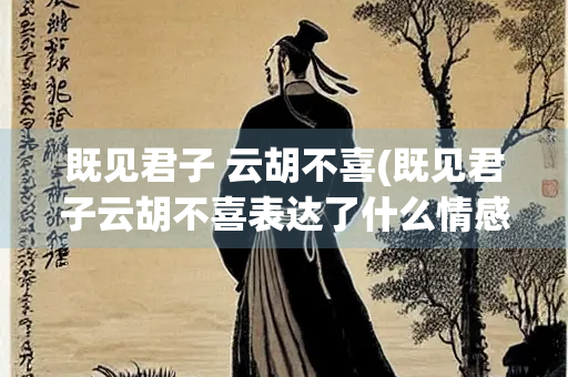 既见君子 云胡不喜(既见君子云胡不喜表达了什么情感)