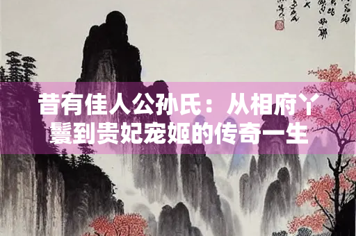 昔有佳人公孙氏：从相府丫鬟到贵妃宠姬的传奇一生