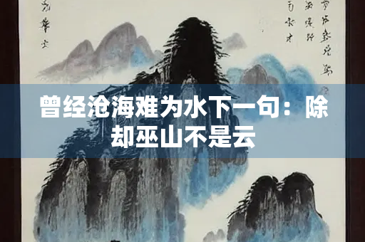 曾经沧海难为水下一句：除却巫山不是云