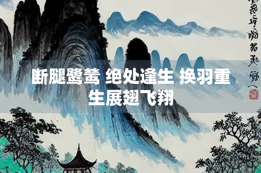 断腿鹭鸶 绝处逢生 换羽重生展翅飞翔