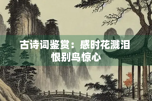 古诗词鉴赏：感时花溅泪 恨别鸟惊心