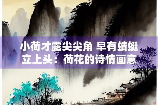 小荷才露尖尖角 早有蜻蜓立上头：荷花的诗情画意
