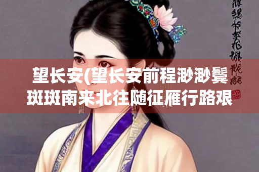 望长安(望长安前程渺渺鬓斑斑南来北往随征雁行路艰难)