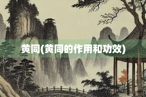黄同(黄同的作用和功效)