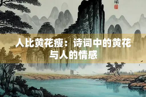 人比黄花瘦：诗词中的黄花与人的情感