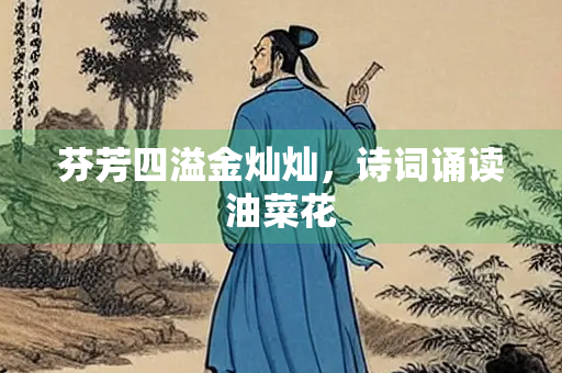 芬芳四溢金灿灿，诗词诵读油菜花