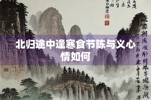 北归途中逢寒食节陈与义心情如何