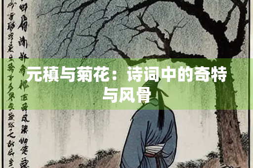 元稹与菊花：诗词中的奇特与风骨