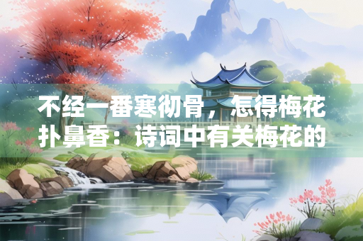不经一番寒彻骨，怎得梅花扑鼻香：诗词中有关梅花的美好想象