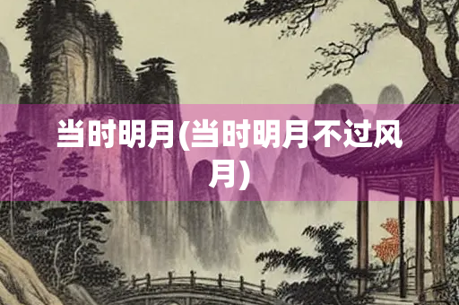 当时明月(当时明月不过风月)