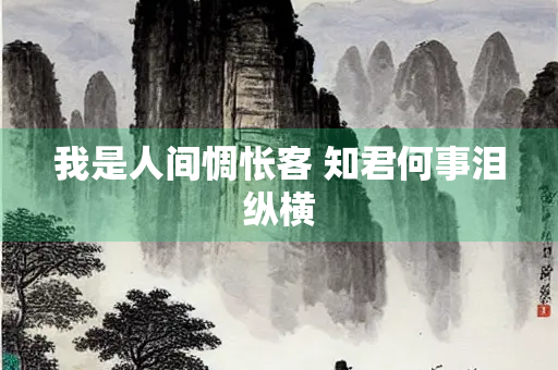 我是人间惆怅客 知君何事泪纵横