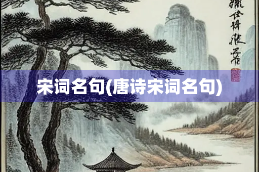 宋词名句(唐诗宋词名句)