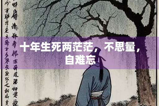 十年生死两茫茫，不思量，自难忘