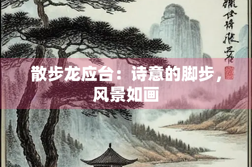 散步龙应台：诗意的脚步，风景如画