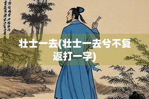 壮士一去(壮士一去兮不复返打一字)