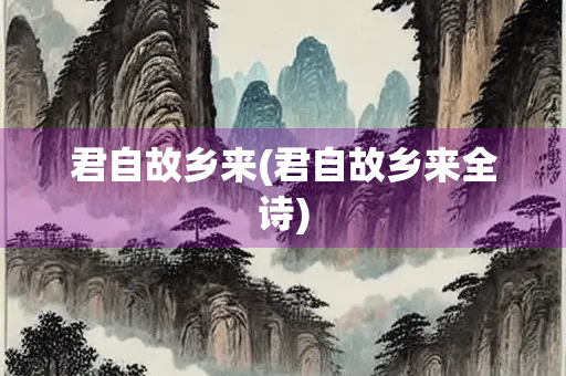 君自故乡来(君自故乡来全诗)