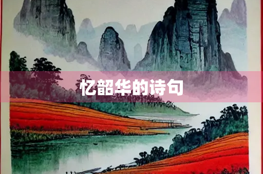 忆韶华的诗句