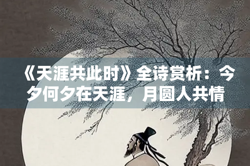 《天涯共此时》全诗赏析：今夕何夕在天涯，月圆人共情