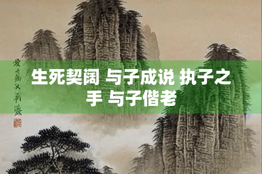 生死契阔 与子成说 执子之手 与子偕老