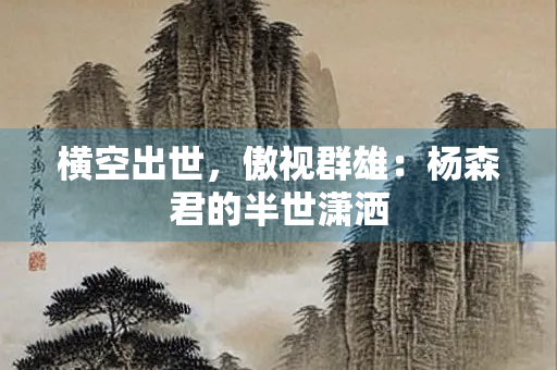 横空出世，傲视群雄：杨森君的半世潇洒