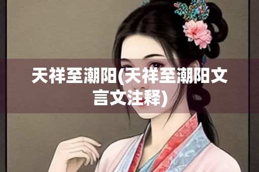 天祥至潮阳(天祥至潮阳文言文注释)