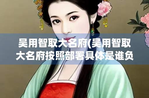 吴用智取大名府(吴用智取大名府按照部署具体是谁负责什么)