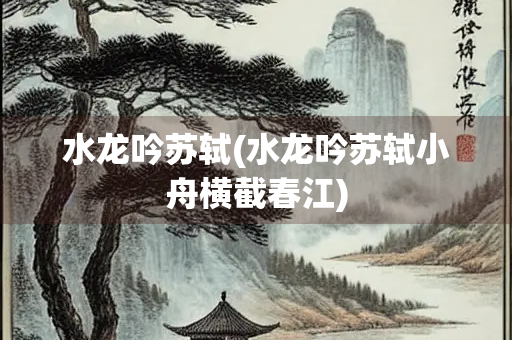 水龙吟苏轼(水龙吟苏轼小舟横截春江)