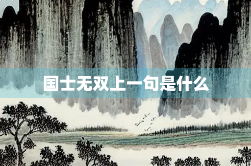 国士无双上一句是什么