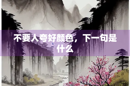 不要人夸好颜色，下一句是什么