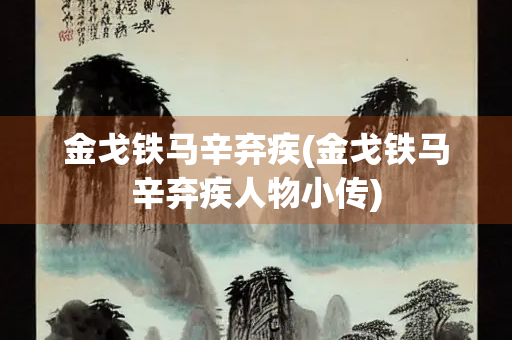 金戈铁马辛弃疾(金戈铁马辛弃疾人物小传)