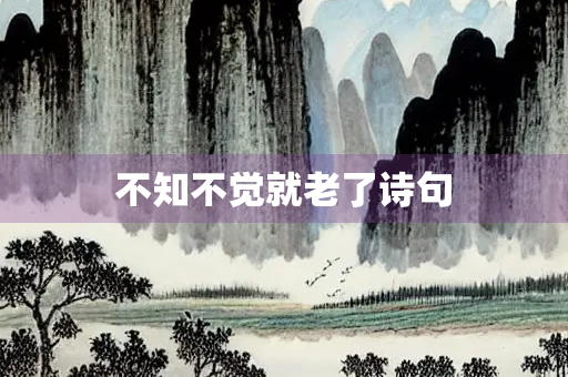 不知不觉就老了诗句