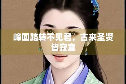 峰回路转不见君，古来圣贤皆寂寞