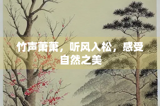 竹声萧萧，听风入松，感受自然之美