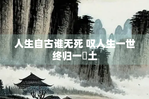 人生自古谁无死 叹人生一世终归一抔土