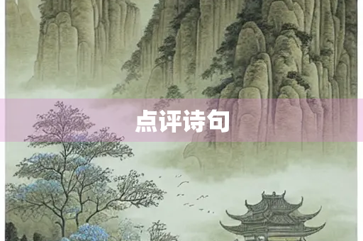 点评诗句