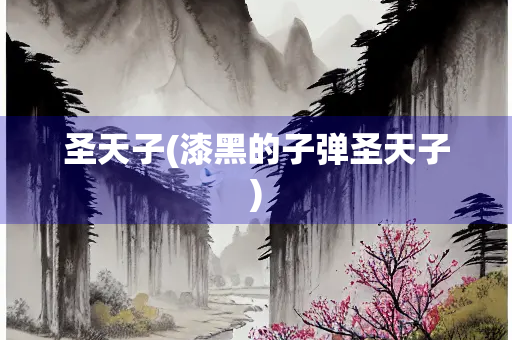 圣天子(漆黑的子弹圣天子)