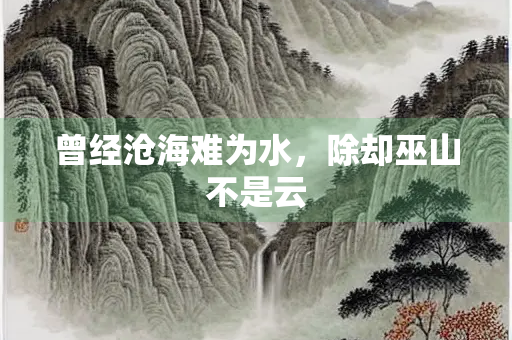 曾经沧海难为水，除却巫山不是云