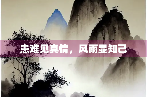 患难见真情，风雨显知己