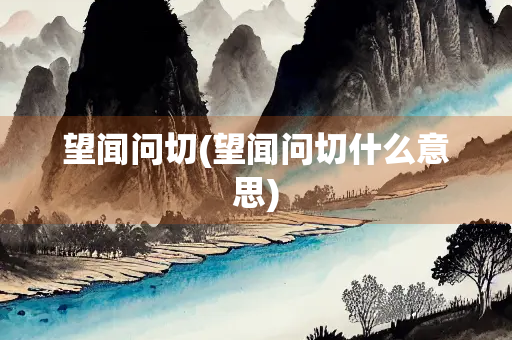 望闻问切(望闻问切什么意思)