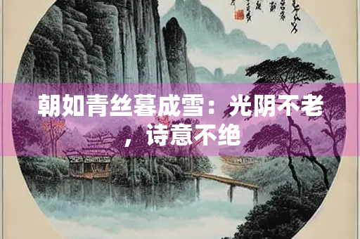 朝如青丝暮成雪：光阴不老，诗意不绝