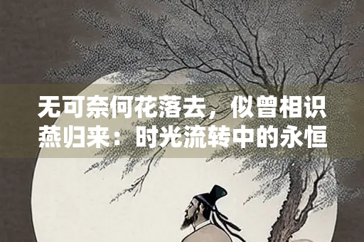 无可奈何花落去，似曾相识燕归来：时光流转中的永恒之美