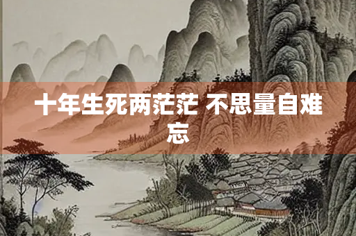 十年生死两茫茫 不思量自难忘