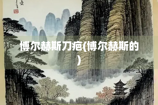 博尔赫斯刀疤(博尔赫斯的)