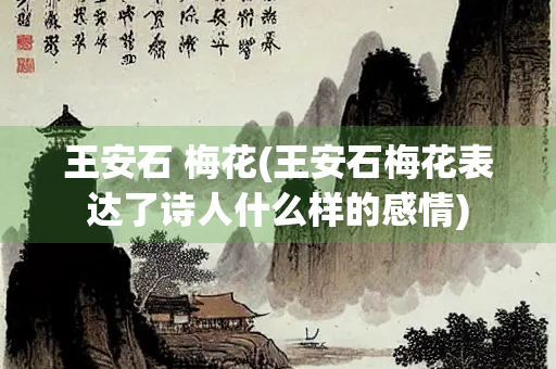 王安石 梅花(王安石梅花表达了诗人什么样的感情)