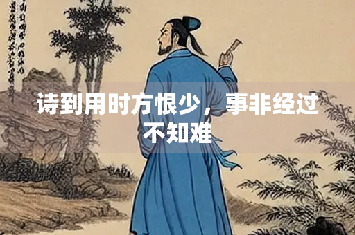 诗到用时方恨少，事非经过不知难