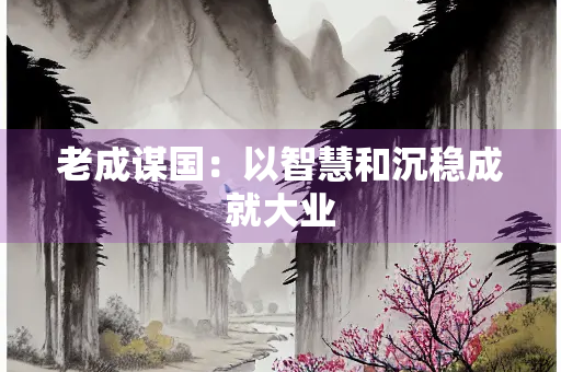 老成谋国：以智慧和沉稳成就大业