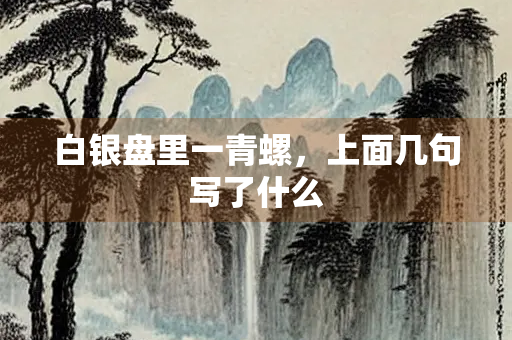 白银盘里一青螺，上面几句写了什么