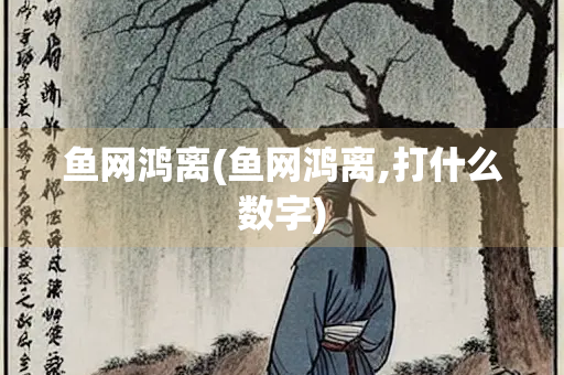 鱼网鸿离(鱼网鸿离,打什么数字)