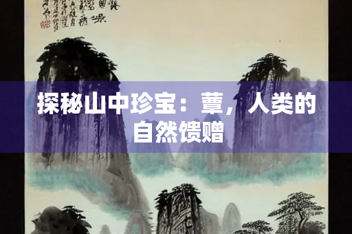 探秘山中珍宝：蕈，人类的自然馈赠