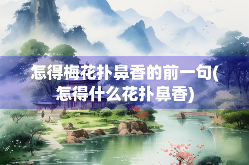 怎得梅花扑鼻香的前一句(怎得什么花扑鼻香)